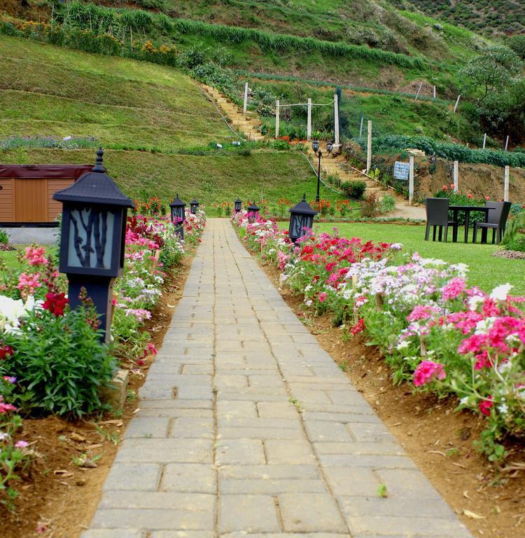 Serene Villa Nuwara Eliya Kültér fotó