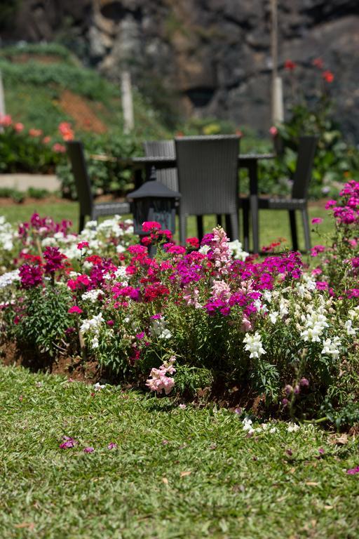 Serene Villa Nuwara Eliya Kültér fotó